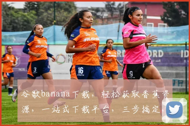 谷歌banana下载，轻松获取香蕉资源，一站式下载平台，三步搞定，高效便捷