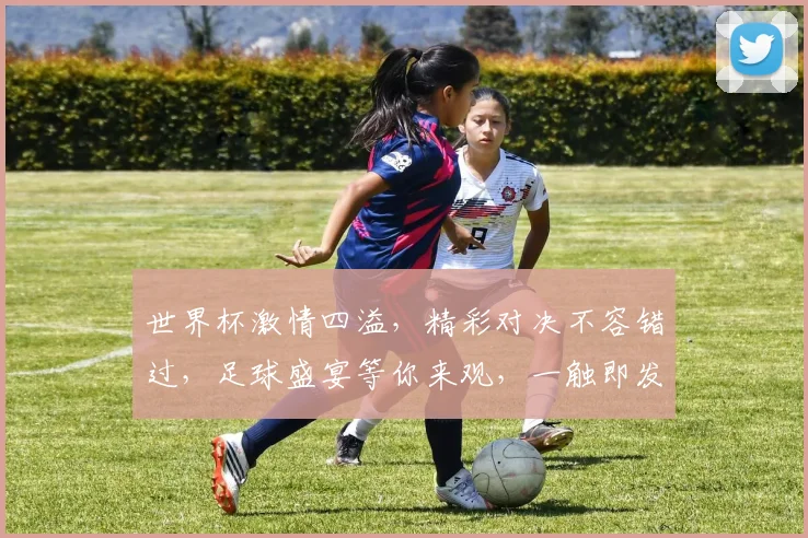 世界杯激情四溢，精彩对决不容错过，足球盛宴等你来观，一触即发