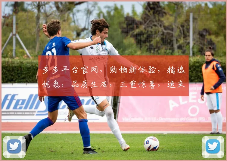 多多平台官网，购物新体验，精选优惠，品质生活，三重惊喜，速来探索